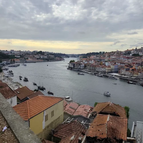Jardim do Morro
